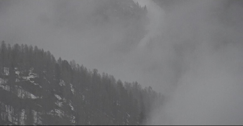 Webcam San Martino di Castrozza - Passo Rolle - Ces - Malga Valcigolera