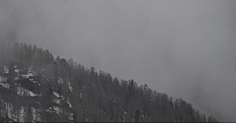 Webcam San Martino di Castrozza - Passo Rolle - Ces - Malga Valcigolera