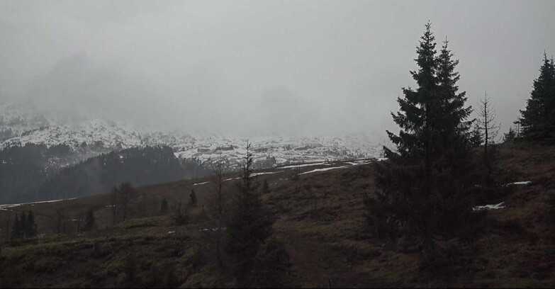 Webcam San Martino di Castrozza - Passo Rolle - Passo Rolle - Bocche