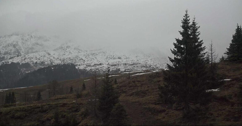 Webcam San Martino di Castrozza - Passo Rolle - Passo Rolle - Bocche