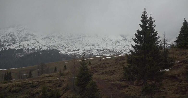 Webcam San Martino di Castrozza - Passo Rolle - Passo Rolle - Bocche