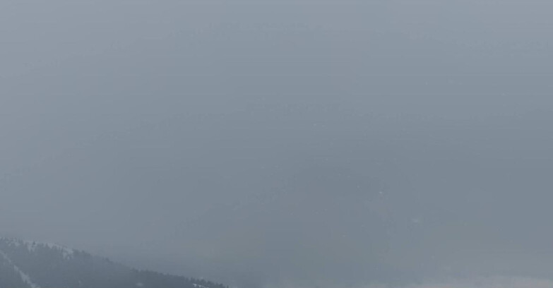 Webcam Madonna di Campiglio (Skiarea Campiglio Dolomiti di Brenta - Val di Sole Val Rendena) - Area Grostè