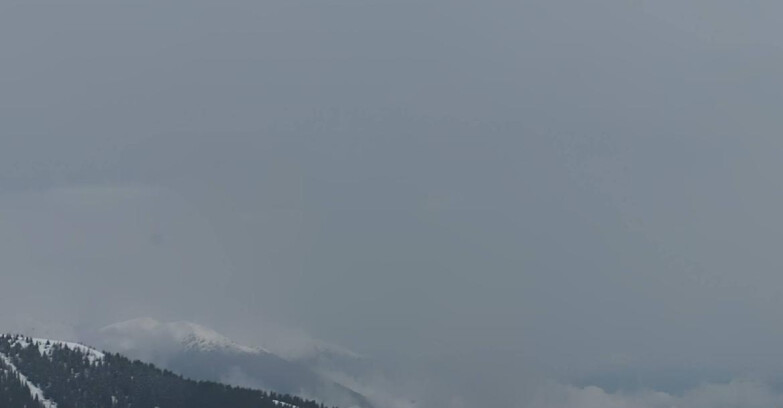 Webcam Madonna di Campiglio (Skiarea Campiglio Dolomiti di Brenta - Val di Sole Val Rendena) - Area Grostè