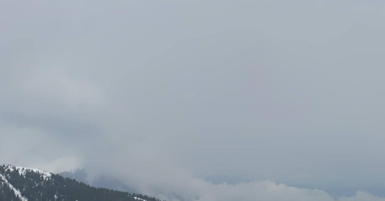 Webcam Madonna di Campiglio (Skiarea Campiglio Dolomiti di Brenta - Val di Sole Val Rendena) - Area Grostè