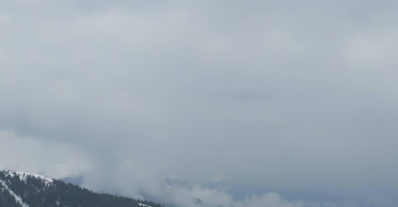 Webcam Madonna di Campiglio (Skiarea Campiglio Dolomiti di Brenta - Val di Sole Val Rendena) - Area Grostè