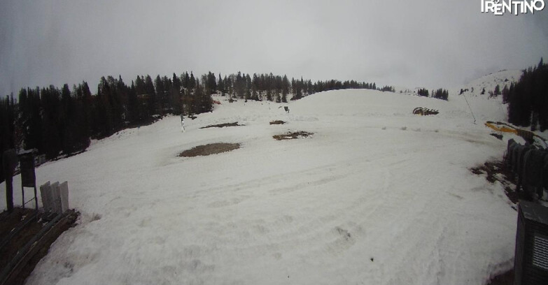 Webcam Pinzolo - Pinzolo -Grual e Clump 